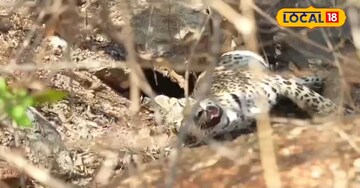 చిత్తూరు