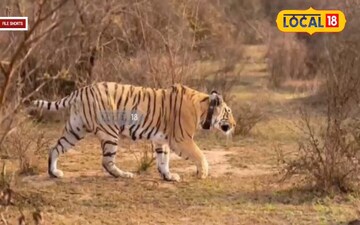 రాజమండ్రిలో