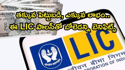 LIC ची 'न्यू जीवन आनंद': रोज 45 रुपयांत 25 लाख आणि आजीवन कव्हर!