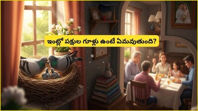 घरात पक्ष्यांचे घरटे: नशीब, संपत्ती आणि दैवी आशीर्वादाचे संकेत?