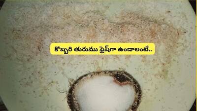 किसलेले खोबरे महिनेभर ताजे ठेवा: फ्रीजमध्ये ही सामान्य चूक टाळा!