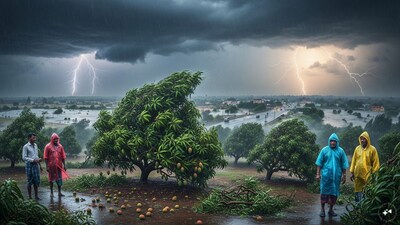 तेलंगणात वादळी वाऱ्यांचा हाहाकार: 5 मिनिटांत 3 महिन्यांचे पीक उद्ध्वस्त.