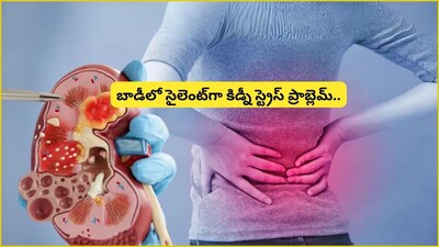 किडनीचे आरोग्य: ही लक्षणे दिसल्यास किडनी धोक्यात, लवकर ओळखल्यास मोठा धोका टळेल