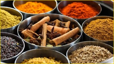 Spices Have Expiry Dates! Uncover Secrets to Keep Them Fresh Longer