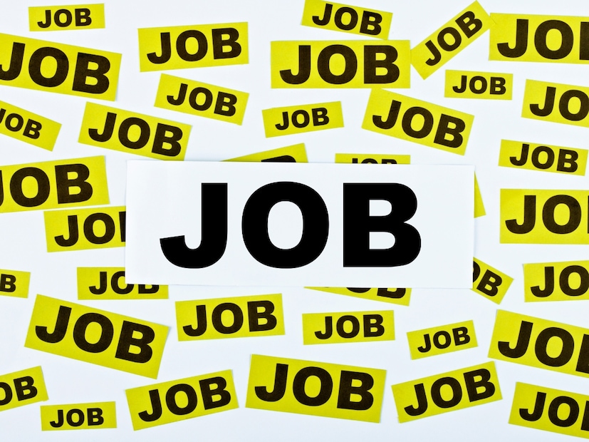 Stree Nidhi recruitment 2026, Telangana contract jobs, Hyderabad government jobs, Stree Nidhi vacancies, senior manager jobs, IT consultant jobs, rural banking jobs, స్త్రీ నిధి రిక్రూట్మెంట్ 2026, స్త్రీ నిధి ఉద్యోగాలు, స్త్రీ నిధి జాబ్స్, తెలంగాణ కాంట్రాక్ట్ ఉద్యోగాలు, హైదరాబాద్ ప్రభుత్వ ఉద్యోగాలు, ఐటీ కన్సల్టెంట్ ఉద్యోగాలు, తెలంగాణ గ్రామీణ బ్యాంకింగ్ ఉద్యోగాలు Stree Nidhi recruitment 2026, Telangana contract jobs, Hyderabad government jobs, Stree Nidhi vacancies, senior manager jobs, IT consultant jobs, rural banking jobs, స్త్రీ నిధి రిక్రూట్మెంట్ 2026, స్త్రీ నిధి ఉద్యోగాలు, స్త్రీ నిధి జాబ్స్, తెలంగాణ కాంట్రాక్ట్ ఉద్యోగాలు, హైదరాబాద్ ప్రభుత్వ ఉద్యోగాలు, ఐటీ కన్సల్టెంట్ ఉద్యోగాలు, తెలంగాణ గ్రామీణ బ్యాంకింగ్ ఉద్యోగాలు