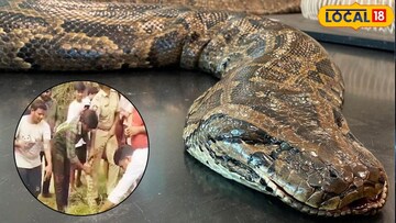 Python