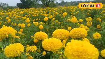 News18