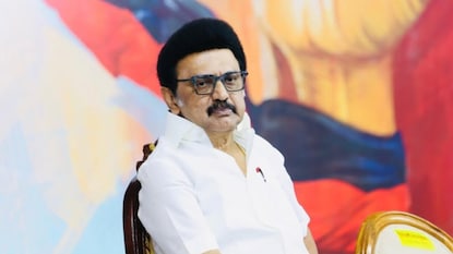 ఎంకే స్టాలిన్ (ఫైల్ ఫోటో) ఎంకే స్టాలిన్ (ఫైల్ ఫోటో)