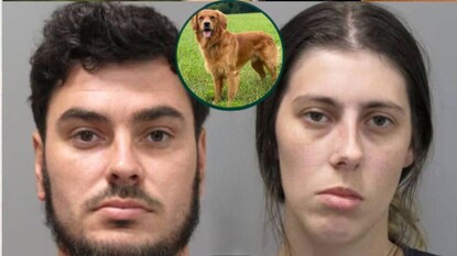 Louisiana Couple Dog