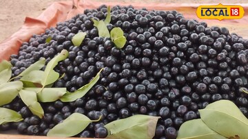 News18