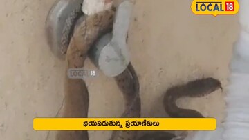 News18