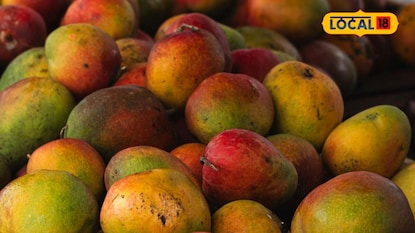 Mangoes: మామిడి పండ్లు తినే వారికి షాకింగ్ న్యూస్.. హైదరాబాద్లో దారుణ ఘటన! Mangoes: మామిడి పండ్లు తినే వారికి షాకింగ్ న్యూస్.. హైదరాబాద్లో దారుణ ఘటన!