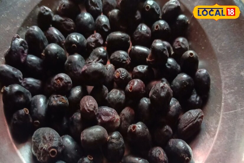 Jamun benefits, Java plum, Indian blackberry, Diabetes remedy, Jamun fruit, Immunity booster, Healthy fruits, Ayurvedic benefits, Weight loss fruit, Iron rich fruit, Jamun benefits, Java plum, Black plum, Jamun fruit, Diabetes, Blood sugar control, Healthy fruits, Weight loss, Immunity booster, Seasonal fruits, నేరేడు పండ్లు, Jamun benefits, Java plum, Indian blackberry, Diabetes remedy, Jamun fruit, Immunity booster, Healthy fruits, Ayurvedic benefits, Weight loss fruit, Iron rich fruit, Jamun benefits, Java plum, Black plum, Jamun fruit, Diabetes, Blood sugar control, Healthy fruits, Weight loss, Immunity booster, Seasonal fruits, నేరేడు పండ్లు,