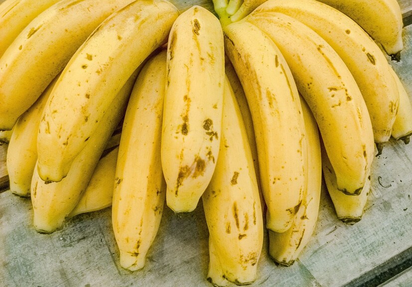 Anyone who buys a bunch of bananas knows the struggle; some are still green while others quickly turn brown. The Haru Hana Banana pack is designed to solve this everyday problem by arranging bananas according to how ripe they are.