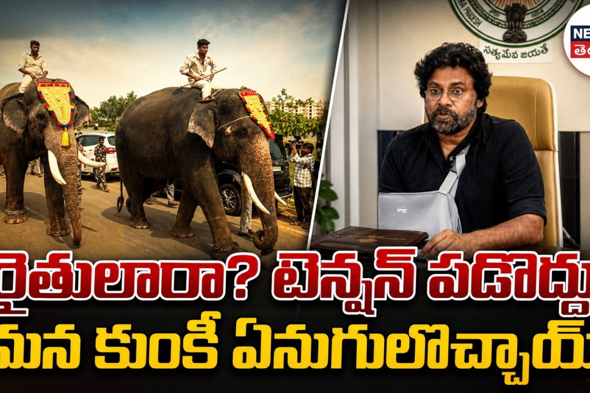 Pawan Kalyan |  రైతులారా? టెన్షన్ పడొద్దు.. మన కుంకీ ఏనుగులొచ్చాయ్