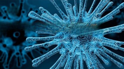 Chandipura Virus