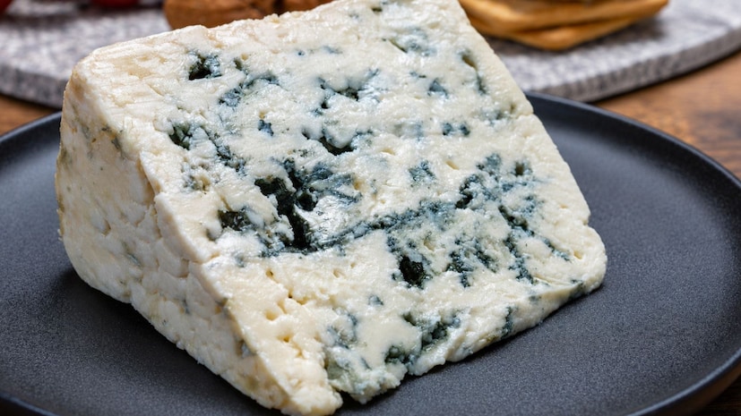 <strong>Blue Cheese Fungus:</strong> పిజ్జాలో అయినా, శాండ్విచ్లలో అయినా చీజ్ను ఎంతో ఇష్టంగా తింటారు. మొజారెల్లా, చెడ్డార్, రికోటా, ఫెటా , కాటేజ్ చీజ్ వంటి అనేక రకాల చీజ్లు ఉన్నాయి. వాటిలో ప్రతిదానికీ దాని ప్రత్యేకమైన రుచి ఉంటుంది. అయితే మార్కెట్లో "బ్లూ చీజ్" కూడా లభిస్తుందని మీకు తెలుసా? ఇది పసుపు రంగులో ఉండి, దానిపై ఆకుపచ్చ-నీలి రంగు మచ్చలు ఉంటాయి. <strong>Blue Cheese Fungus:</strong> పిజ్జాలో అయినా, శాండ్విచ్లలో అయినా చీజ్ను ఎంతో ఇష్టంగా తింటారు. మొజారెల్లా, చెడ్డార్, రికోటా, ఫెటా , కాటేజ్ చీజ్ వంటి అనేక రకాల చీజ్లు ఉన్నాయి. వాటిలో ప్రతిదానికీ దాని ప్రత్యేకమైన రుచి ఉంటుంది. అయితే మార్కెట్లో "బ్లూ చీజ్" కూడా లభిస్తుందని మీకు తెలుసా? ఇది పసుపు రంగులో ఉండి, దానిపై ఆకుపచ్చ-నీలి రంగు మచ్చలు ఉంటాయి.