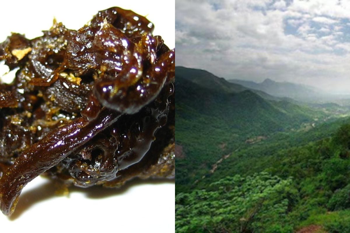 Liquid Ganja: అరకులో గంజాయి కలకలం.. రూ. కోటి విలువైన హ్యాష్ ఆయిల్ పట్టివేత.. మాజీ న్యాయవాది అరెస్ట్!