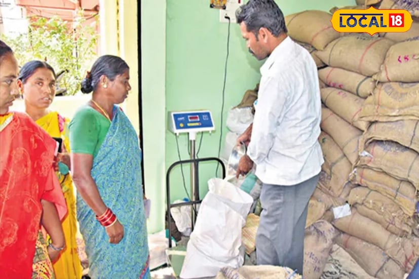 వరంగల్ జిల్లాలోని 13 మండలాల్లో 509 రేషన్ దుకాణాలు ఉన్నాయి.ఇందులో పాత రేషన్ కార్డులు 2,66,429 కొత్తవి 27,395 మొత్తం కలిపి 2,93,824 ఉన్నాయి. ఇందులో 8,92,330 మంది లబ్ధిదారులు ఉండగా ప్రతి నెల 5,504,264 మెట్రిక్ టన్నులు బియ్యం పంపిణీ అవుతుంది. ఇప్పుడు ఈ కొత్త స్మార్ట్ రేషన్ కార్డులతో ప్రజాపంపిణీ వ్యవస్థలో పారదర్శకత, భద్రత, వేగవంతమైన సేవలు మరింత మెరుగు పడే అవకాశం ఉంది. వరంగల్ జిల్లాలోని 13 మండలాల్లో 509 రేషన్ దుకాణాలు ఉన్నాయి.ఇందులో పాత రేషన్ కార్డులు 2,66,429 కొత్తవి 27,395 మొత్తం కలిపి 2,93,824 ఉన్నాయి. ఇందులో 8,92,330 మంది లబ్ధిదారులు ఉండగా ప్రతి నెల 5,504,264 మెట్రిక్ టన్నులు బియ్యం పంపిణీ అవుతుంది. ఇప్పుడు ఈ కొత్త స్మార్ట్ రేషన్ కార్డులతో ప్రజాపంపిణీ వ్యవస్థలో పారదర్శకత, భద్రత, వేగవంతమైన సేవలు మరింత మెరుగు పడే అవకాశం ఉంది.