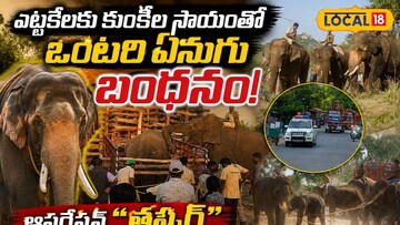 News18