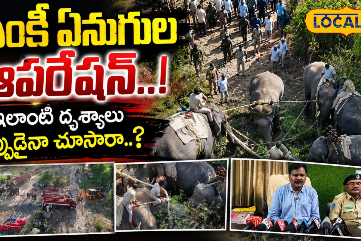 కుంకీ ఏనుగుల ఆపరేషన్..!ఇలాంటి దృశ్యాలు ఎప్పుడైనా చూసారా..?