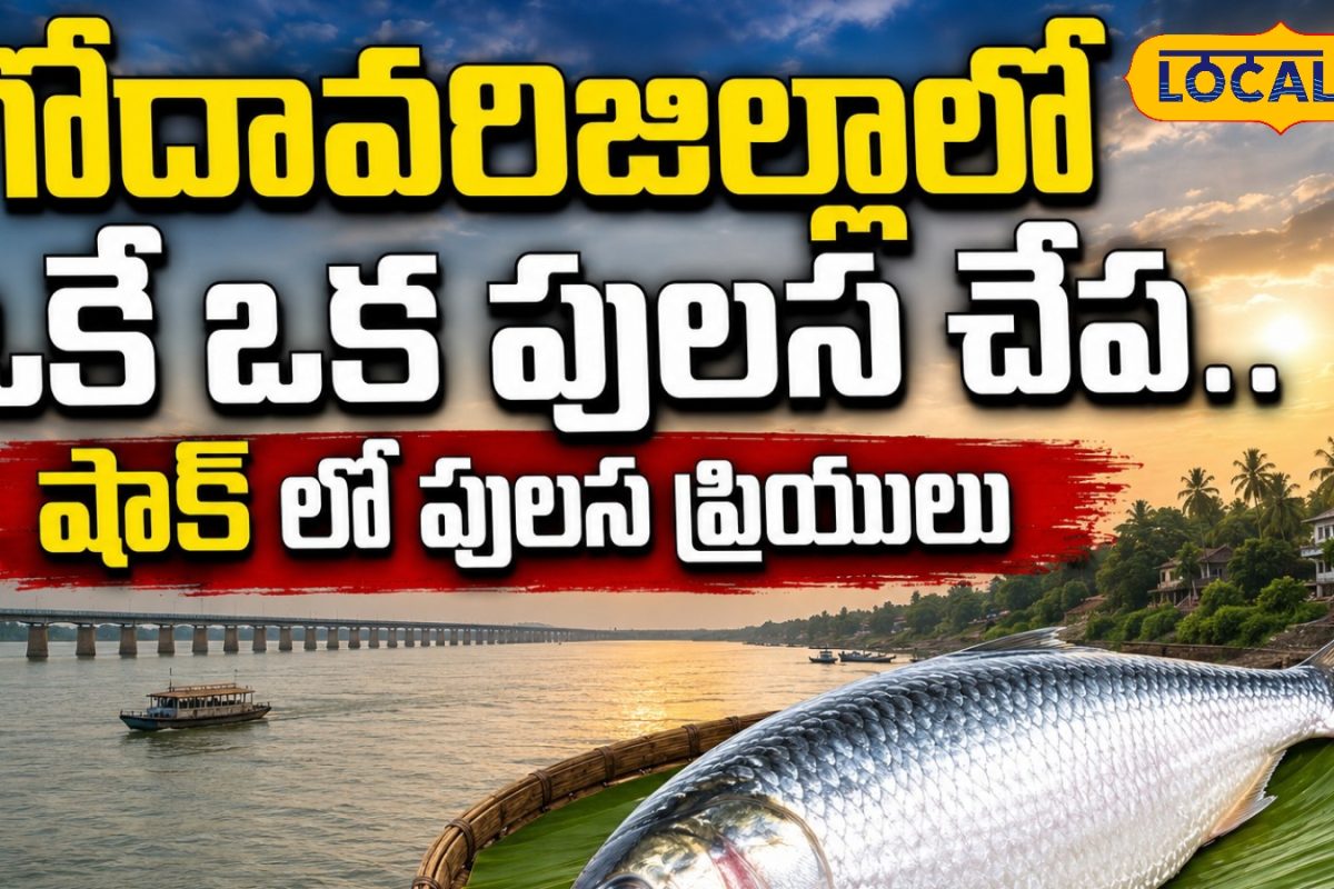 Pulasa Fish: గోదావరిలో పులస మాయం.. దొరికింది ఒక్కటే.. ధర వింటే షాక్ అవుతారు..!