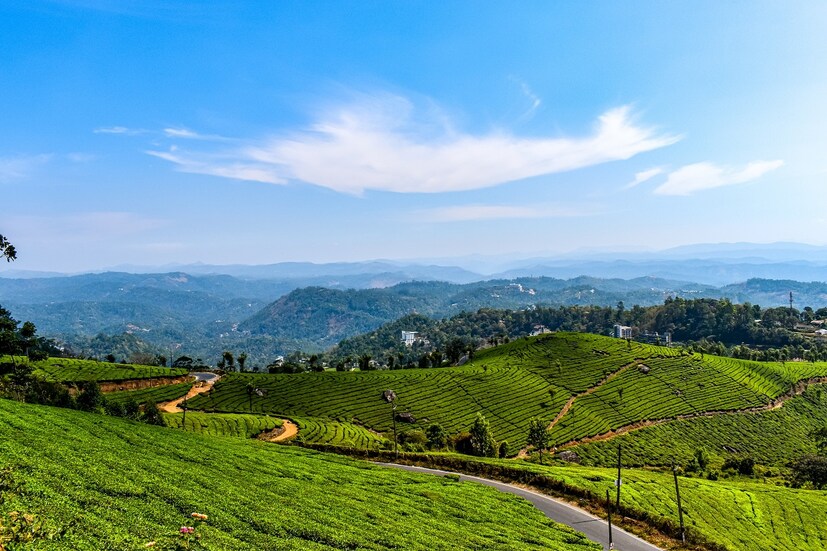 kerala tour packages with price, kerala tour packages from hyderabad, kerala tour packages for family, kerala tour packages with flight price, kerala tour packages for couple, kerala tour packages for family 2 days, best kerala tour packages from hyderabad, best time to visit kerala, IRCTC Hyderabad Kerala Tour, ఐఆర్‌సీటీసీ కేరళ టూర్ ప్యాకేజ్, హైదరాబాద్ నుంచి కేరళ టూర్, కేరళ మాన్సూన్ మ్యాజిక్, కేరళ టూర్, మున్నార్ టూర్ ప్యాకేజ్