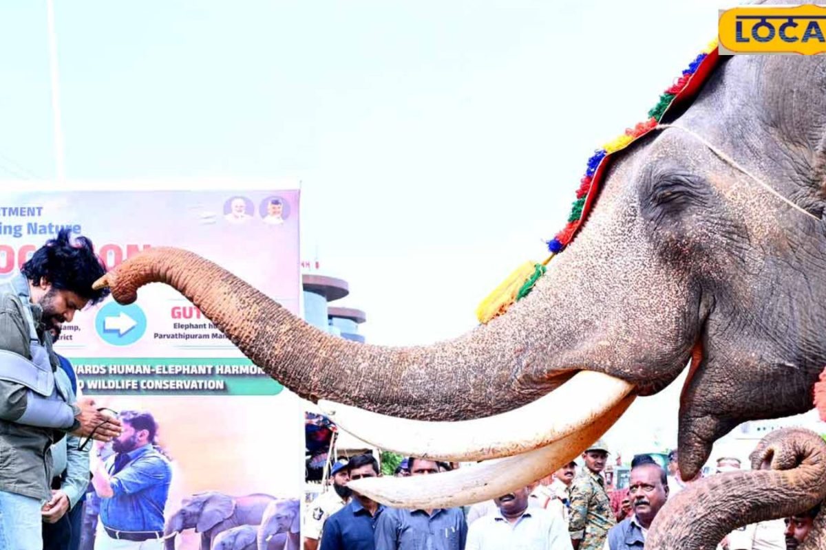 Kunki Elephant: కుంకీ ఏనుగులకు డిప్యూటీ సీఎం ఘన స్వాగతం.. అడవి ఏనుగుల బెడదకు చెక్ పెట్టనున్న అటవీ శాఖ