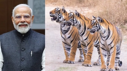 ప్రజలకు అలర్ట్.. పులుల సంరక్షణ, వన్యప్రాణి రక్షణపై ప్రధాని మోదీ కీలక సందేశం ప్రజలకు అలర్ట్.. పులుల సంరక్షణ, వన్యప్రాణి రక్షణపై ప్రధాని మోదీ కీలక సందేశం