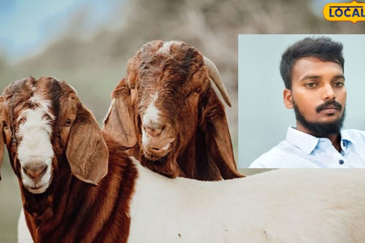 Nellore Murder: రెండు మేక పిల్లల కోసం మొదలైన వివాదం.. యువకుడి దారుణ హత్యతో విషాదం.. అసలేం జరిగిందంటే..!
