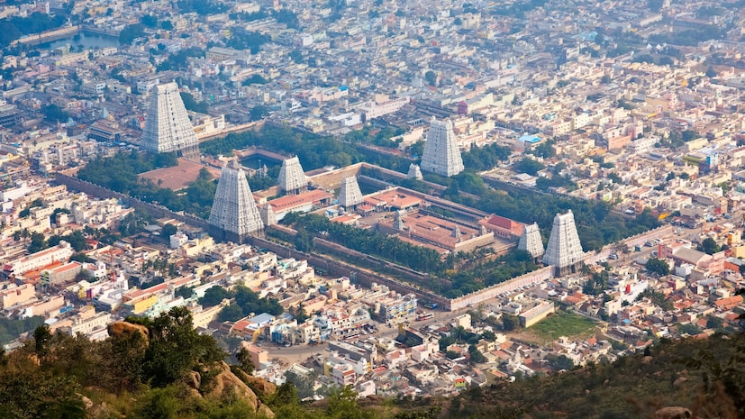 arunachalam tour, arunachalam rameswaram tour, arunachalam tour package, IRCTC Divya Dakshin Yatra 2026, Bharat Gaurav train package, South India temple tour from Hyderabad, ఐఆర్సీటీసీ టూరిజం ఆలయ యాత్ర ప్యాకేజీ, సికింద్రాబాద్ నుంచి పుణ్యక్షేత్రాల టూర్, అరుణాచలం దర్శనం రైలు ప్రయాణం, రామేశ్వరం మదురై కన్యాకుమారి యాత్ర, భారత్ గౌరవ్ టూరిస్ట్ ట్రైన్ వివరాలు, ఐఆర్సీటీసీ టూర్ బుకింగ్ arunachalam tour, arunachalam rameswaram tour, arunachalam tour package, IRCTC Divya Dakshin Yatra 2026, Bharat Gaurav train package, South India temple tour from Hyderabad, ఐఆర్సీటీసీ టూరిజం ఆలయ యాత్ర ప్యాకేజీ, సికింద్రాబాద్ నుంచి పుణ్యక్షేత్రాల టూర్, అరుణాచలం దర్శనం రైలు ప్రయాణం, రామేశ్వరం మదురై కన్యాకుమారి యాత్ర, భారత్ గౌరవ్ టూరిస్ట్ ట్రైన్ వివరాలు, ఐఆర్సీటీసీ టూర్ బుకింగ్