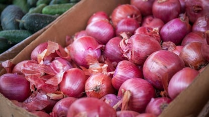 Onion Prices: పండుగ వేళ ఉల్లి ధరలపై కేంద్రం కీలక ప్రకటన! (ప్రతీకాత్మక చిత్రం) Onion Prices: పండుగ వేళ ఉల్లి ధరలపై కేంద్రం కీలక ప్రకటన! (ప్రతీకాత్మక చిత్రం)