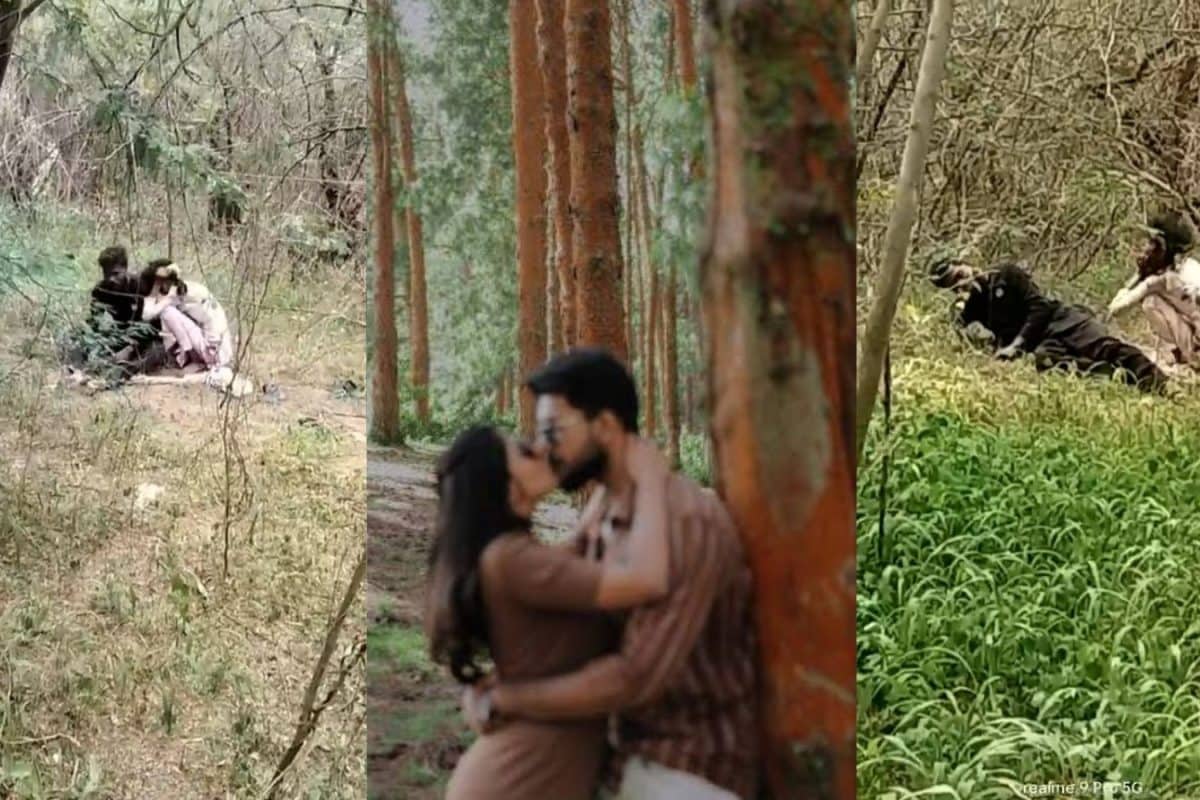 Viral Video: ఒంటరిగా గడిపేందుకు ఫారెస్ట్‌కి వెళ్లిన ప్రేమజంట.. ఆ పనిలో ఉండగా ఊహించని షాక్