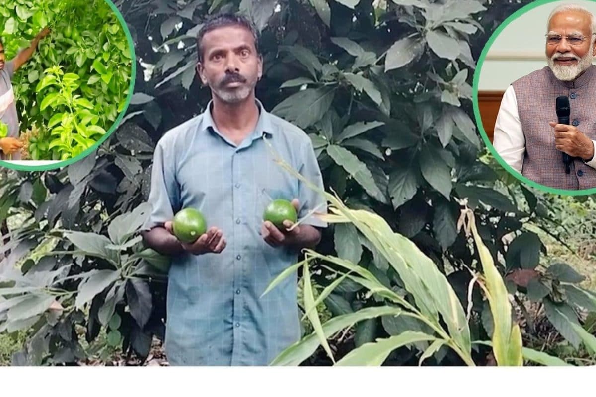 Andhra Avocado Farmer: లాభాలు కురిపిస్తున్న అవకాడో సాగు.. కడప రైతును దేశ ప్రజలకు పరిచయం చేసిన ప్రధాని
