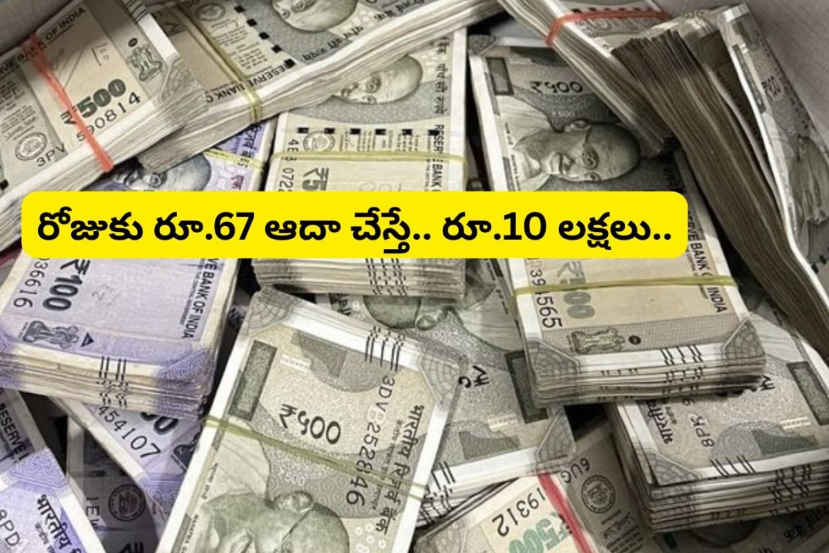 Money Earning: మీ జీతం తక్కువా? ఏం పర్లేదు.. ఈ ప్రభుత్వ పథకాల ద్వారా నెలకు రూ.2,000తో రూ.10 లక్షలు ..