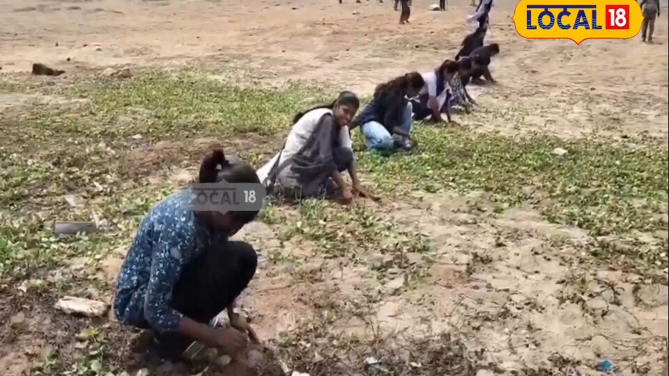 విశాఖ తీరాన్ని కాపాడేందుకు కొత్త ప్లాన్.. ప్రకృతినే రక్షణ కవచంగా మార్చుతున్న అధికారులు..!