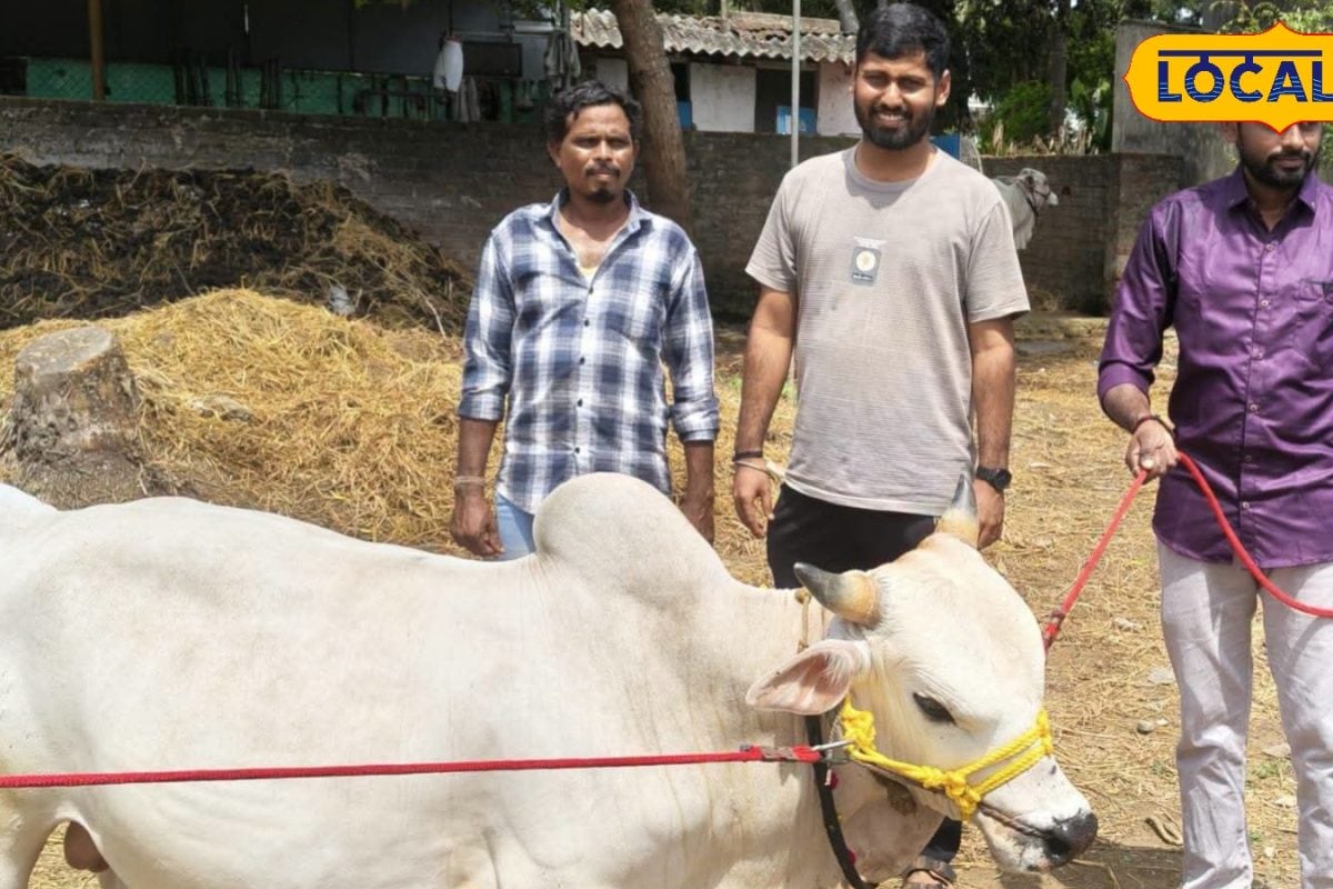 Trending: ఈ గిత్త ధర రూ.3.75 లక్షలు.. ఎందుకంత రేటో తెలుసా?