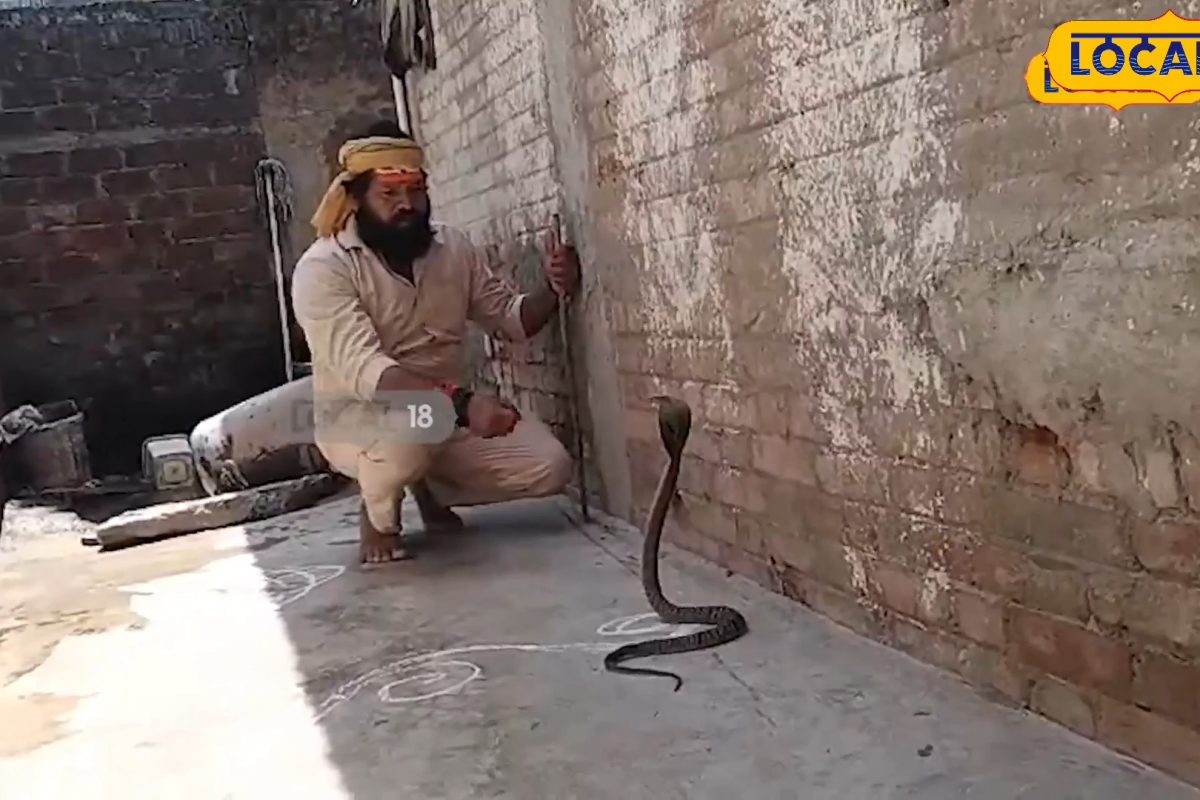 Black Cobra: డ్రమ్ములో నీళ్ల కోసం చూస్తే.. నల్ల త్రాచు పడగ విప్పింది.. 45 నిమిషాల తర్వాత ఏం జరిగిందంటే..?
