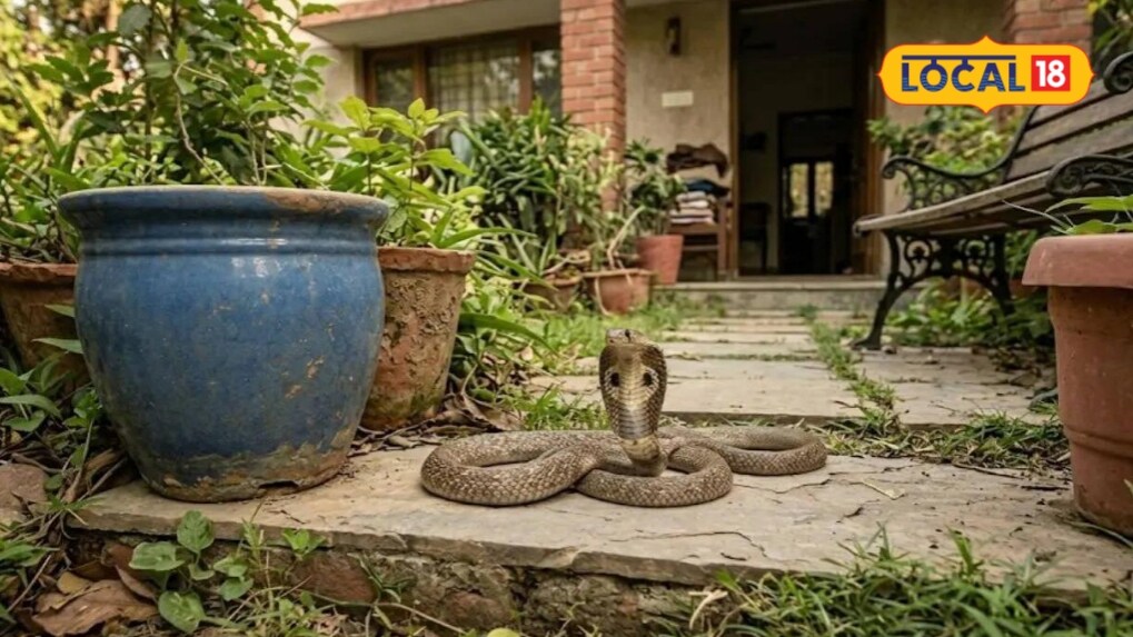 Snake: ఇంటి చుట్టూ పాములు కనిపిస్తున్నాయా.. స్నేక్ క్యాచర్ చెప్పిన ఈ టిప్ తప్పక ట్రై చేయండి..!