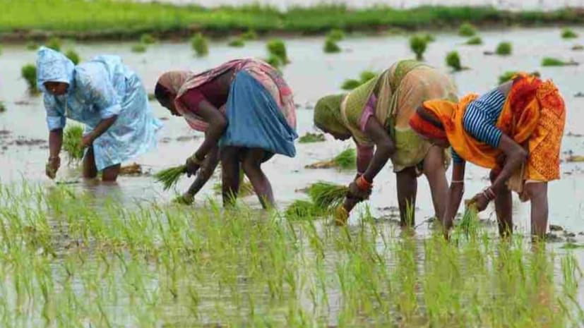 పీఎం కిసాన్, PM Kisan, ఫార్మర్ రిజిస్ట్రీ, Farmer Registry, విశిష్ట సంఖ్య, Unique ID, ఏపీ వ్యవసాయ శాఖ, AP Agriculture, రైతులకు హెచ్చరిక, Farmers Alert పీఎం కిసాన్, PM Kisan, ఫార్మర్ రిజిస్ట్రీ, Farmer Registry, విశిష్ట సంఖ్య, Unique ID, ఏపీ వ్యవసాయ శాఖ, AP Agriculture, రైతులకు హెచ్చరిక, Farmers Alert
