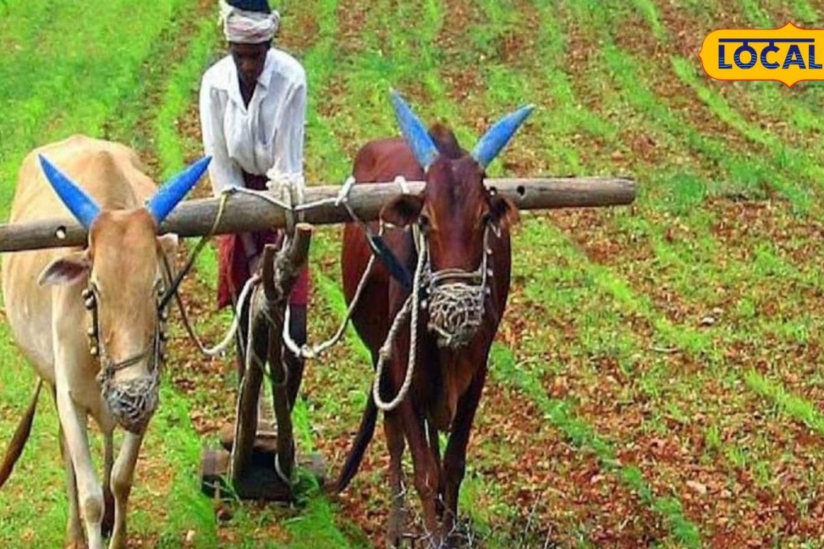 Farmers Subsidy: రైతులకు కేవలం రూ.1,080తో రూ.2 లక్షల 40 వేలు బెనిఫిట్.. ఇప్పుడే ఎలానో తెలుసుకోండి!