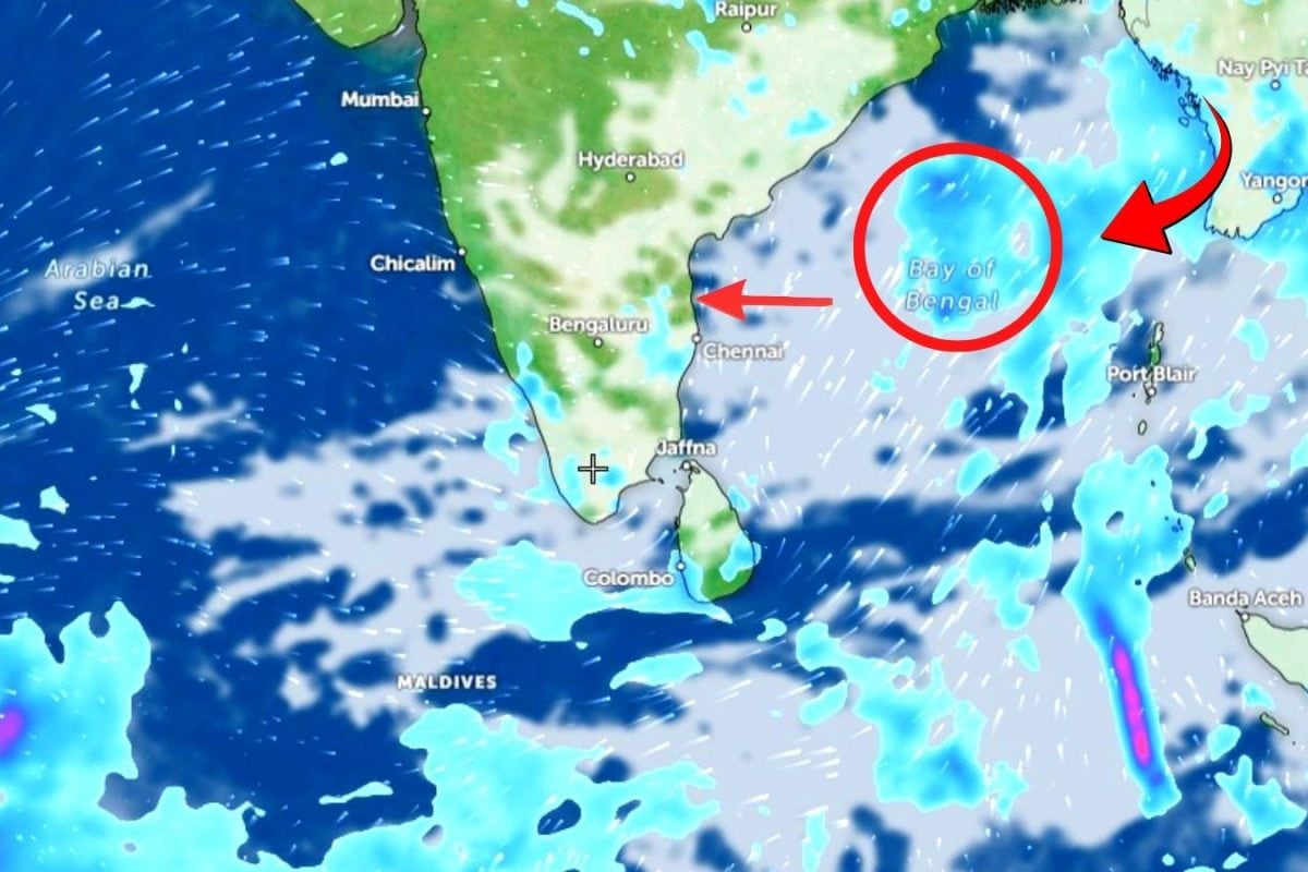 Weather Update: ఉరుములు, పిడుగులతో వర్షాలు.. తెలంగాణ, ఏపీలో ఎక్కడెక్కడ వర్షాలు పడనున్నాయంటే?