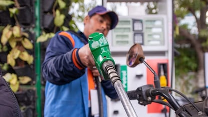 ప్రతీకాత్మక చిత్రం (Image - Shutterstock) ప్రతీకాత్మక చిత్రం (Image - Shutterstock)