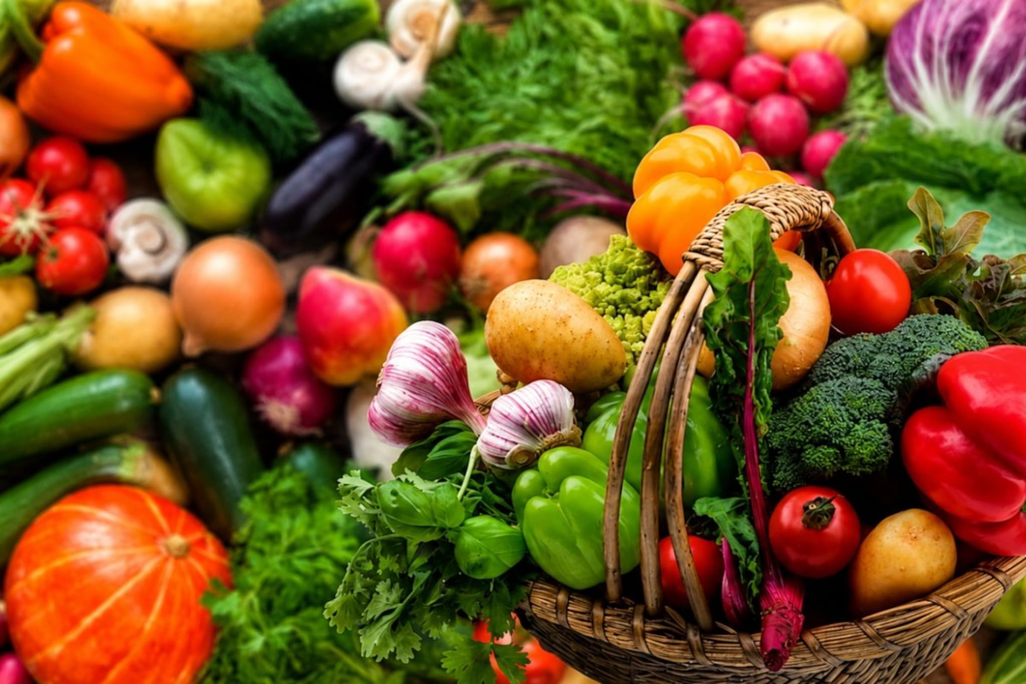 Normal Vegetables Kolkata: కోల్కతా దుర్గాపూజ తొక్కిసలాట ఘటన.. 19 మంది మృతి కేసులో పూజా ...