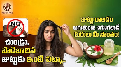 How to Make Aloe Vera Shampoo at Home for Hair Fall, Dandruff and Dry Hair How to Make Aloe Vera Shampoo at Home for Hair Fall, Dandruff and Dry Hair