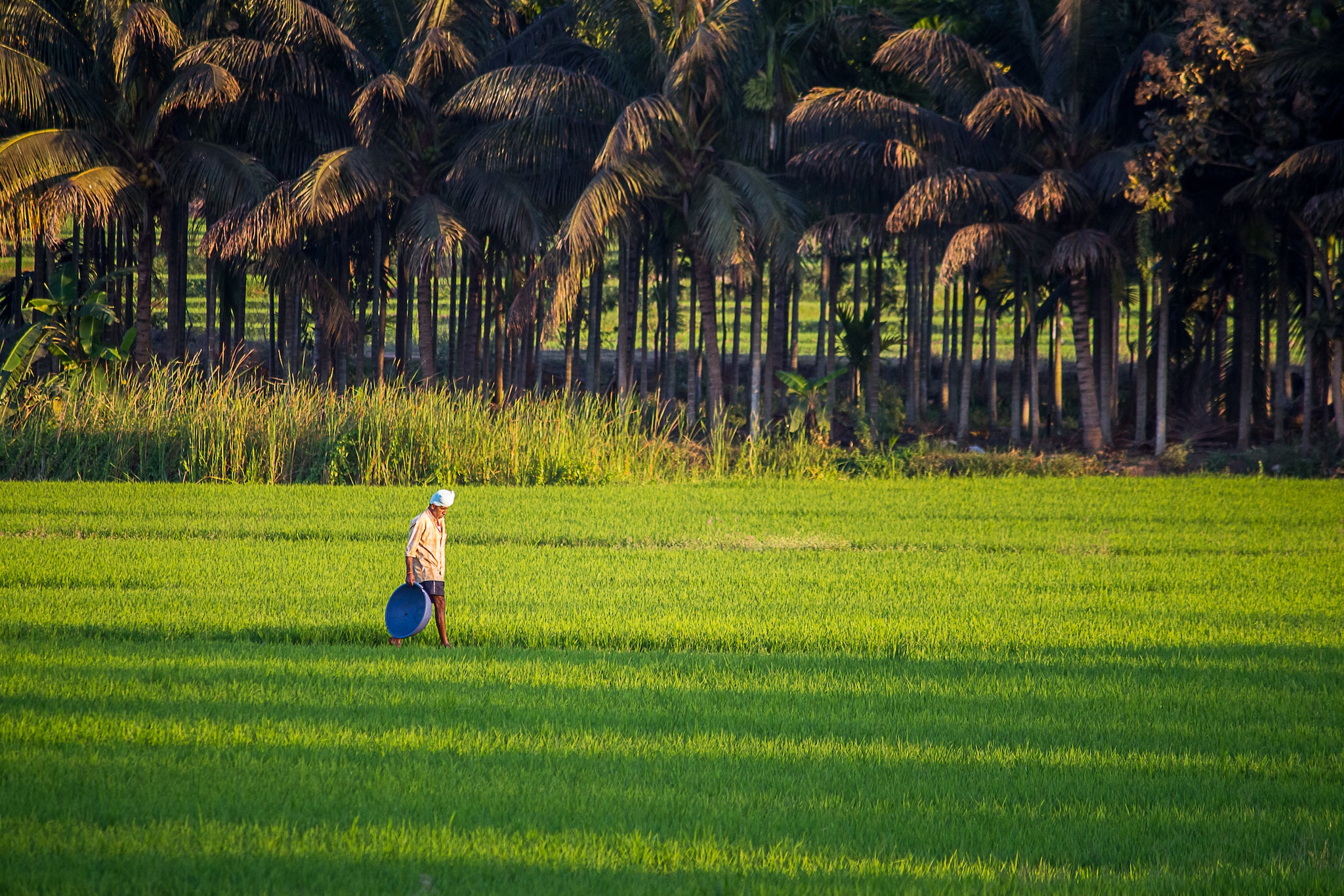 El Nino India 2026, foodgrain production target 2026-27, India agriculture latest news, Kharif crop production India, Rabi crop planning 2026, fertilizer availability India, drought alert Telangana Andhra Pradesh, ఎల్నినో ప్రభావం 2026, రైతులకు కేంద్రం తాజా ప్రకటన, ఖరీఫ్ పంటల తాజా సమాచారం, రబీ పంటల సాగు వివరాలు, ఎరువుల ధరలు తాజా అప్డేట్, తెలంగాణలో కరువు పరిస్థితులు, ఆంధ్రప్రదేశ్ పంట నష్టం వివరాలు El Nino India 2026, foodgrain production target 2026-27, India agriculture latest news, Kharif crop production India, Rabi crop planning 2026, fertilizer availability India, drought alert Telangana Andhra Pradesh, ఎల్నినో ప్రభావం 2026, రైతులకు కేంద్రం తాజా ప్రకటన, ఖరీఫ్ పంటల తాజా సమాచారం, రబీ పంటల సాగు వివరాలు, ఎరువుల ధరలు తాజా అప్డేట్, తెలంగాణలో కరువు పరిస్థితులు, ఆంధ్రప్రదేశ్ పంట నష్టం వివరాలు