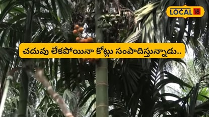 News18 News18