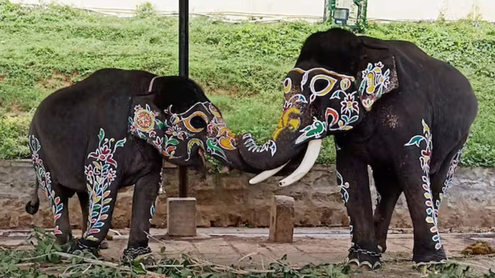 dussehra elephant