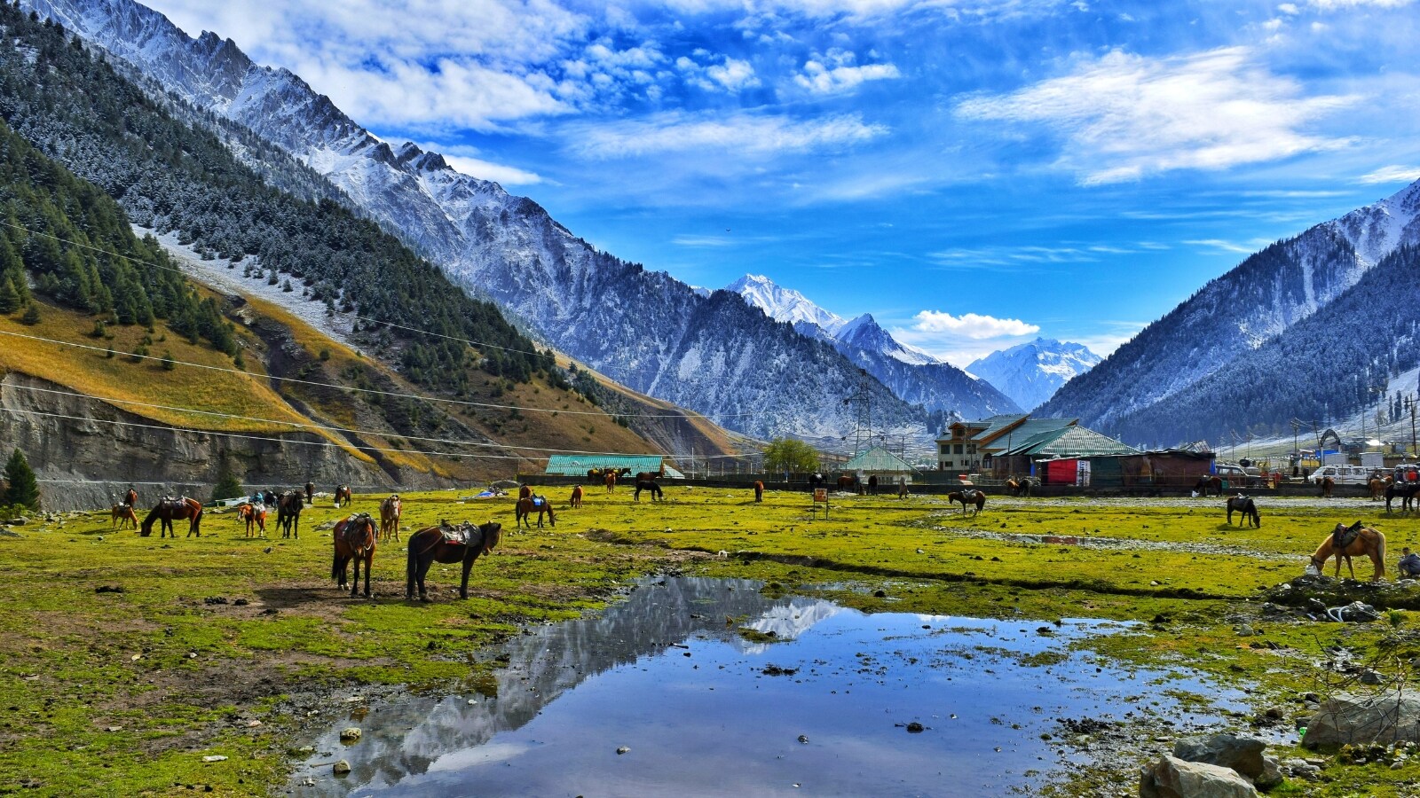 IRCTC Kashmir tour package from Hyderabad, IRCTC New Year tour package 2027, Kashmir holiday package price, Hyderabad to Srinagar flight tour, IRCTC Mystical Kashmir package details, Kashmir tour package for families, హైదరాబాద్ నుంచి కాశ్మీర్ టూర్ ప్యాకేజీ, ఐఆర్‌సీటీసీ న్యూ ఇయర్ టూర్ వివరాలు, కాశ్మీర్ వెళ్లేందుకు ఎంత ఖర్చవుతుంది, కొత్త ఏడాది విహారయాత్ర ప్లాన్, శ్రీనగర్ విమాన ప్రయాణ టికెట్ ధరలు, కుటుంబంతో కాశ్మీర్ టూర్ ఖర్చు