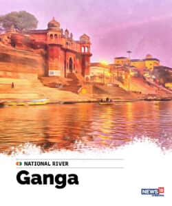 India@75: A look at the National Symbols